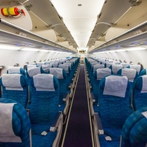 Пьяный оренбуржец устроил дебош в самолете авиарейса 