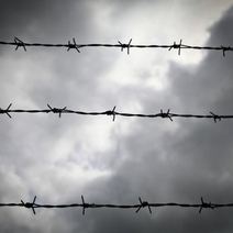 Заместителя главы Акбулакского района не удалось заключить под стражу