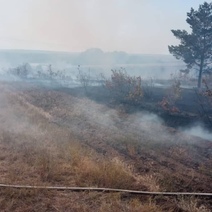 В Переволоцком районе сгорело почти десять гектаров степи и леса