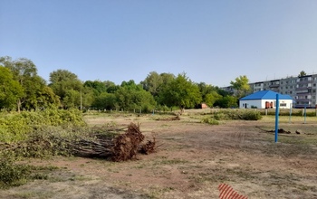 В Оренбурге вновь вырубают деревья
