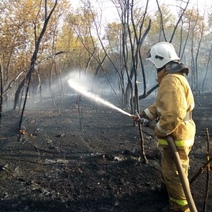 В Сакмарском районе горит 4 километра сухой травы