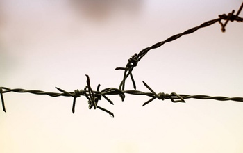 Житель Новотроицка, втянувший подростка в совершение тяжкого преступления, отправился за решетку