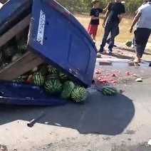 В Оренбуржье на Соль-Илецкой трассе опрокинулась Газель с арбузами