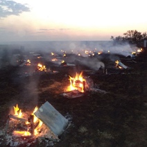 В Октябрьском районе сгорела пасека