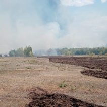 В Соль-Илецком горокруге из-за пожаров введен режим ЧС