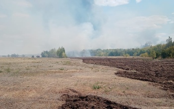 В Соль-Илецком горокруге из-за пожаров введен режим ЧС