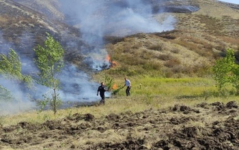 В Оренбургском районе на улице Сенной сгорело сено