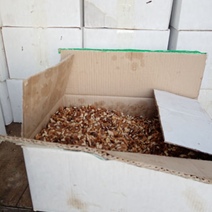 В Оренбуржье на границе развернули 184 тонны продуктов из Казахстана и Киргизии