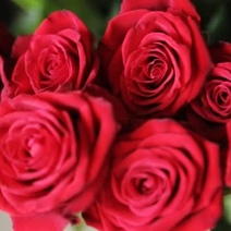 Пьяный орчанин украл букет роз из магазина, чтобы помириться с девушкой