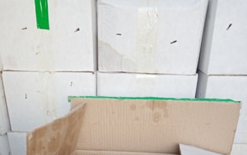 В Оренбуржье на границе развернули 184 тонны продуктов из Казахстана и Киргизии
