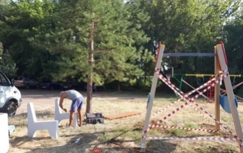 Оренбуржцев снова возмущает варварское отношение к деревьям в городе