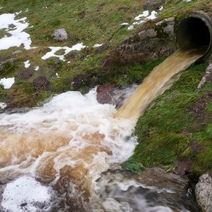 В Орске организация сбрасывала неочищенные сточные воды прямо на участки садоводов