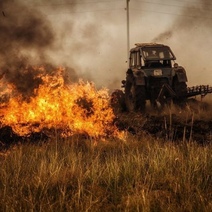 Под Соль-Илецком четыре дня тушили лесной пожар
