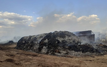 В Матвеевском районе во время пожара погибли 35 коров
