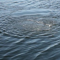 В Саракташском районе отдыхающие достали из воды тело мужчины (18+)