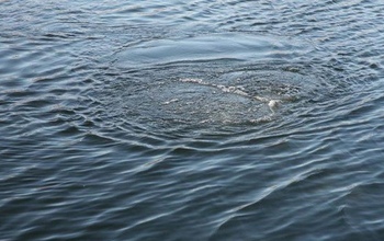 В Саракташском районе отдыхающие достали из воды тело мужчины (18+)