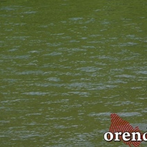 В Оренбуржье водолазы выехали на поиски двоих утонувших мужчин (18+)