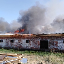 В Гае загорелся цех птицефабрики