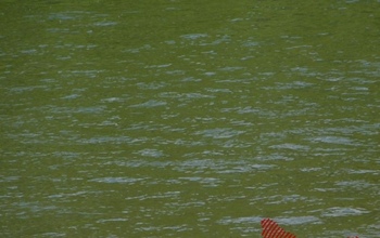 В Оренбуржье водолазы выехали на поиски двоих утонувших мужчин (18+)