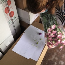 В Оренбуржье в срезах цветов выявлен опасный карантинный объект