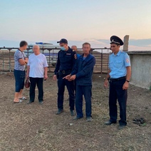 В Оренбуржье двое мужчин пытались похитить 12 коров на сумму в 840 000 рублей