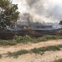 В Шарлыкском районе горит село: уничтожено уже 9 домов и 20 надворных построек