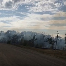 В Саракташском районе у села Ладыгино горит лес