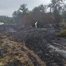В Башкирии площадь пожара, перекинувшегося из Тюльганского района, составляет уже 61 га
