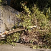 Бушующий в Оренбурге ветер уже приносит свои горькие 