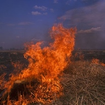 В Ясненском горокруге на пожаре погиб мужчина (18+)