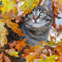 В Оренбургской области ожидается минусовая температура