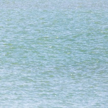 В Бузулуке погибла упавшая в реку 87-летняя бабушка (18+)