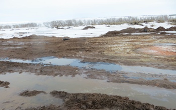 В Красногвардейском районе организация оштрафована за разлив нефти на почву