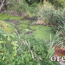 В Акбулаке нечистоты из колонии ИК-9 попадают в реку