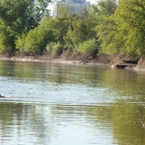Оренбургской области грозит катастрофический дефицит воды