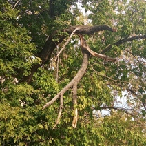 В Оренбурге до обращений граждан в единый диспетчерский центр никому нет дела