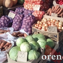 Цены на овощи нового урожая в Оренбурге «кусаются»