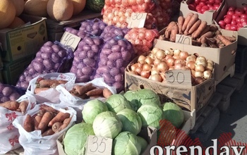 Цены на овощи нового урожая в Оренбурге «кусаются»
