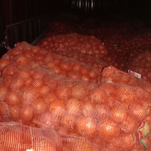 В Оренбургскую область снова не разрешили ввезти овощи и фрукты из Казахстана