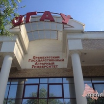 В Оренбурге в ОГАУ произошло короткое замыкание лампы