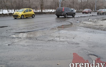 В Оренбурге владелец 
