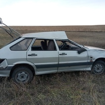 В Оренбуржье водитель ВАЗа наехал на косулю и слетел в кювет, есть пострадавшие