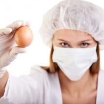 В двух районах Оренбургской области зафиксированы вспышки птичьего гриппа