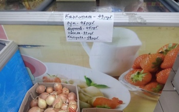 В Оренбуржье урожайность овощей в этом году ниже прошлогодней