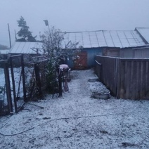 В Оренбуржье снова выпал снег