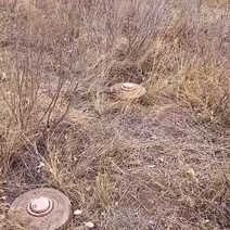 Под Сорочинском в поле обнаружены противотанковые мины