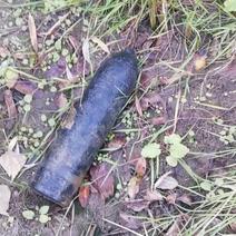 В Оренбуржье рыбак обнаружил на берегу реки снаряд времен Гражданской войны