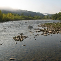 Пропавшего жителя Оренбургской области обнаружили на берегу Урала