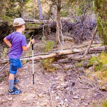 Отцы и матери из Оренбуржья теперь смогут запретить ребенку выезжать за пределы РФ с одним из родителей