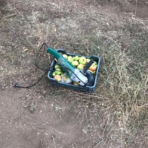 В Оренбуржье полицейские вычислили братьев-грабителей с помощью яблок